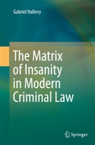 Gabriel Hallevy - The Matrix of Insanity in Modern Criminal Law