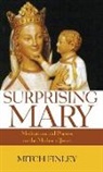 Mitch Finley - Surprising Mary