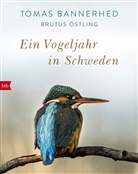 Toma Bannerhed, Tomas Bannerhed, Brutus &Ouml;stling - Ein Vogeljahr in Schweden