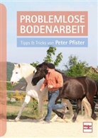 Peter Pfister - Problemlose Bodenarbeit