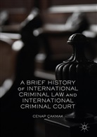 Cenap Cakmak, Cenap &Ccedil;akmak - Brief History of International Criminal Law and International