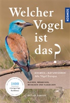 Detlef Singer - Welcher Vogel ist das?