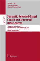 Andrea Cal&igrave;, Doria Gorgan, Dorian Gorgan, Mart&iacute;n Ugarte - Semantic Keyword-Based Search on Structured Data Sources
