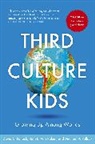 David Pollock, David C Pollock, David C. Pollock, David C. Van Reken Pollock, Michae Pollock, Michael V. Pollock... - Third Culture Kids