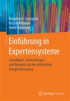 Naumann, Andre Naumann, Andr&eacute; Naumann, Krzyszto Rudion, Krzysztof Rudion, Zbigniew Styczynski... - Einf&uuml;hrung in Expertensysteme