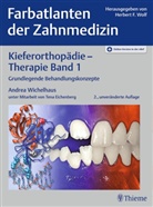 Tena Eichenberg, Herber F Wolf, Herbert F Wolf, Andrea Wichelhaus - Kieferorthop&auml;die - Therapie Band 1. Bd.1