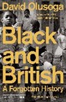 David Olusoga - Black and British