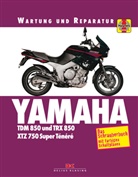Matthe Coombs, Matthew Coombs, Penny Cox - Yamaha TDM 850 und TRX 850 XTZ 750 Super Tenere
