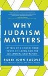 John Rosove, Rabbi John Rosove - Why Judaism Matters