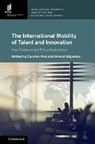 Carsten Miguelez Fink, Carsten Fink, Fink Carsten, Ernest Miguelez - International Mobility of Talent and Innovation