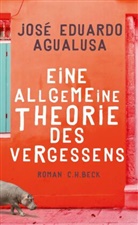 Jose E. Agualusa, José Eduardo Agualusa - Eine allgemeine Theorie des Vergessens