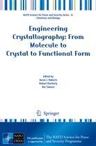 Rober Docherty, Robert Docherty, Kevin J. Roberts, Rui Tamura - Engineering Crystallography: From Molecule to Crystal to Functional Form