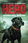 Jennifer Li Shotz - Hero: Hurricane Rescue
