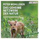 Peter Wohlleben, Peter Kaempfe - Das geheime Netzwerk der Natur, 6 Audio-CDs (H&ouml;rbuch)