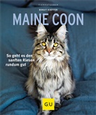 Birgit Kieffer - Maine Coon