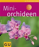 Frank R&ouml;llke, Kerstin R&ouml;llke - Mini-Orchideen