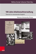 David Chiavacci, Oliver Rathkolb, Heinz Fassmann, Mathias Krempl, Johann Thaler, Johanne Thaler... - 100 Jahre Arbeitsmarktverwaltung