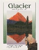 Collective - Glacier on My Mind