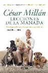 Cesar Millan, C&eacute;sar Mill&aacute;n - Lecciones de la manada / Cesar Millan's Lessons From the Pack