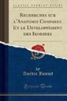 Am&eacute;d&eacute;e Bonnet - Recherches sur l'Anatomie Compar&eacute;e Et le D&eacute;veloppement des Ixodid&eacute;s (Classic Reprint)