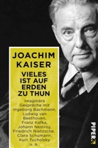 Joachim Kaiser - Vieles ist auf Erden zu thun