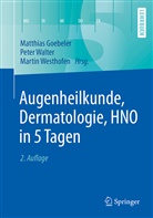 Matthias Goebeler, Pete Walter, Peter Walter, Martin Westhofen - Augenheilkunde, Dermatologie, HNO in 5 Tagen
