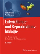 Monika Hassel, Werner M&uuml;ller, Werner A M&uuml;ller, Werner A. M&uuml;ller - Entwicklungsbiologie und Reproduktionsbiologie des Menschen und bedeutender Modellorganismen