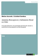 Matia Acevedo, Matias Acevedo, Crist&oacute;bal Gamboa - Amnist&iacute;a, Menosprecio y Sufrimiento Moral en Chile