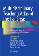 Javie Casillas, Javier Casillas, Monica T. Garcia-Buitrago, Joe Levi, Joe U Levi, Joe U. Levi... - Multidisciplinary Teaching Atlas of the Pancreas