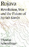 Thomas Schmidinger, Thomas (University of Vienna) Schmidinger, Schmidinger Thomas - Rojava