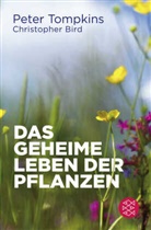 Christopher Bird, Pete Tompkins, Peter Tompkins - Das geheime Leben der Pflanzen