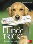 Angela Wegmann - Hundetricks