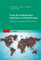Andreas Heinz, Ulrik Kluge, Ulrike Kluge, Wielant Machleidt, Marcel Sieberer, Marcel Sieberer u a - Praxis der interkulturellen Psychiatrie und Psychotherapie