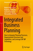 Alecsandra Dimofte, Ragha Jandhyala, Raghav Jandhyala, Rober Kepczynski, Robert Kepczynski, Ganesh Manikandan Sankaran... - Integrated Business Planning