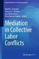 Ana Bel&eacute;n Garc&iacute;a et al, Martin Euwema, Martin C. Euwema, Ana Bel&eacute;n Garc&iacute;a, Francisc J Medina, Francisco J Medina... - Mediation in Collective Labor Conflicts
