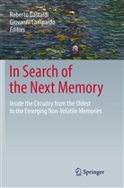 Campardo, Campardo, Giovanni Campardo, Robert Gastaldi, Roberto Gastaldi - In Search of the Next Memory