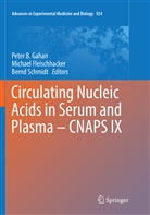 Michae Fleischhacker, Michael Fleischhacker, Peter B. Gahan, Bernd Schmidt - Circulating Nucleic Acids in Serum and Plasma - CNAPS IX
