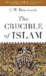 G W Bowersock, G. W. Bowersock - The Crucible of Islam