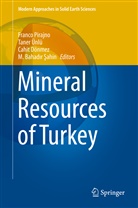 M. Bahad&iquest;r &iquest;Ahin, Cahit D&ouml;nmez, Cahit D&ouml;nmez et al, Franco Pirajno, M. Bahadir Sahin, M. Bahadır Şahin... - Mineral Resources of Turkey