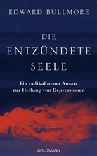 Edward Bullmore - Die entz&uuml;ndete Seele