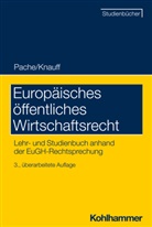 Ludger Breuer, Stefanie Egidy, Tobias H. Irmscher, Carsten Jennert, Matthia Kettemann, Matthias Kettemann... - Europ&auml;isches &ouml;ffentliches Wirtschaftsrecht