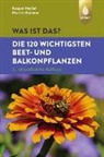 Martin Haberer, Kaspa Heissel, Kaspar Hei&szlig;el - Was ist das? Die 120 wichtigsten Beet- und Balkonpflanzen (Spiel)