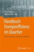 Christ Reicher, Christa Reicher, Schmidt, Schmidt, Anke Schmidt - Handbuch Energieeffizienz im Quartier: Handbuch Energieeffizienz im Quartier