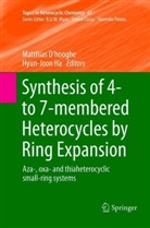 Matthias D&rsquo;hooghe, Matthias Dhooghe, Matthia D'hooghe, Matthias D'hooghe, Ha, Ha... - Synthesis of 4- to 7-membered Heterocycles by Ring Expansion