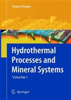 Franco Pirajno - Hydrothermal Processes and Mineral Systems, m. 2 Buch