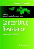 Antonio Sebastiao Rodrigues, Ant&oacute;nio Sebasti&atilde;o Rodrigues, Jos Rueff, Jose Rueff, Sebasti&atilde;o Rodrigues, Sebasti&atilde;o Rodrigues - Cancer Drug Resistance