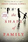 Shilpi Somaya Gowda, Gowda Shilpi Somaya - The Shape of Family