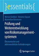 Maximil Behrmann, Maximilian Behrmann, Werne Gleissner, Werner Glei&szlig;ner, Remme Sassen, Remmer Sassen - Pr&uuml;fung und Weiterentwicklung von Risikomanagementsystemen