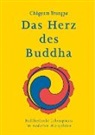 Ch&ouml;gyam Trungpa - Das Herz des Buddha