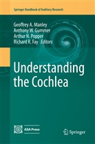 Richard R Fay, Richard R. Fay, Anthony W. Gummer, Geoffrey A. Manley, Arthur N Popper et al, Arthur N Popper... - Understanding the Cochlea
